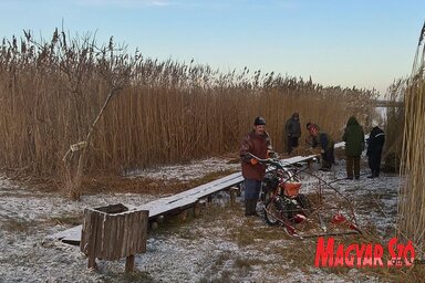 Az avas nád kivágásával a tavat óvják