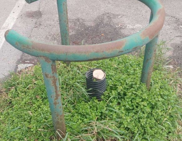 (Fotó: 021.rs) (Fotó: 021.rs)