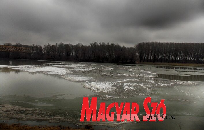 A Tisza tegnap Zentánál (Fotó: Horváth Zsolt) A Tisza tegnap Zentánál (Fotó: Horváth Zsolt)