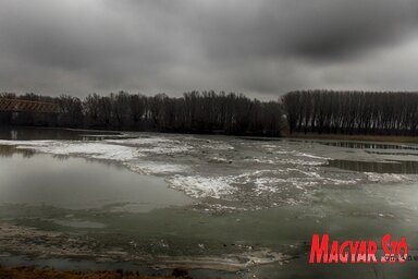 A Tisza tegnap Zentánál (Fotó: Horváth Zsolt)