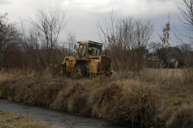 Fotó: Fehér Rózsa