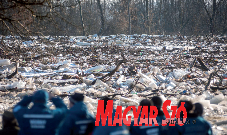 Reka nosi drva i smeće