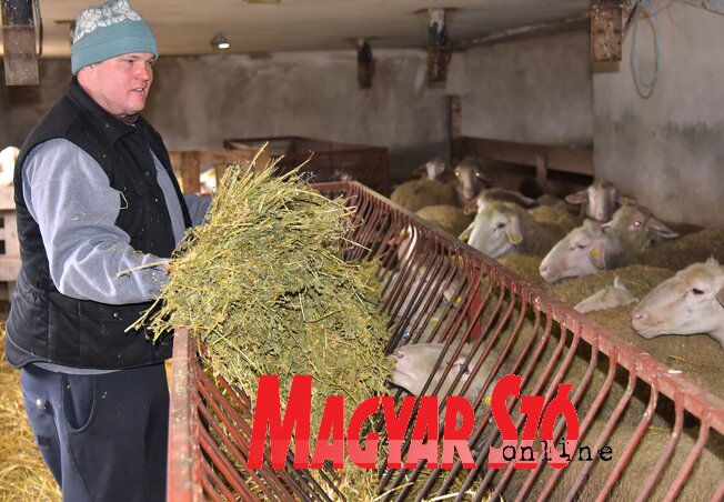 Uzgajanje kvalitetne hrane