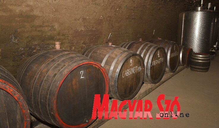 Cabernettel teli hordók sorakoznak, évjárat szerint (Ótos András felvétele) Cabernettel teli hordók sorakoznak, évjárat szerint (Ótos András felvétele)