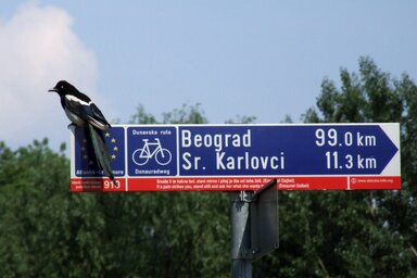 Fotó: Dávid Csilla