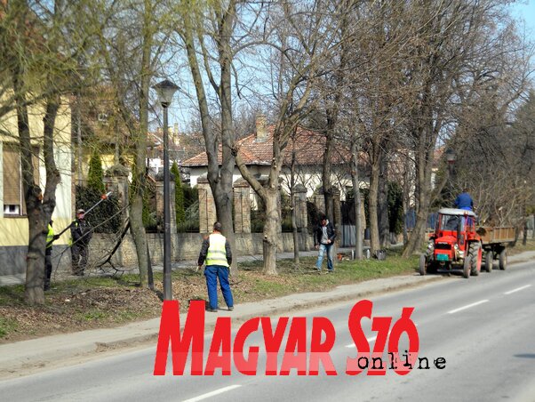 Fotó: Benedek Miklós Fotó: Benedek Miklós