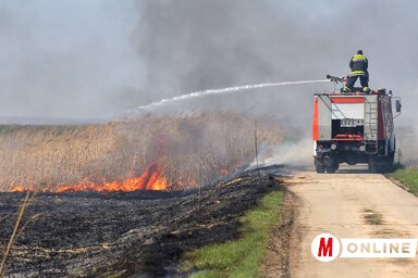 Fotó: Gergely József