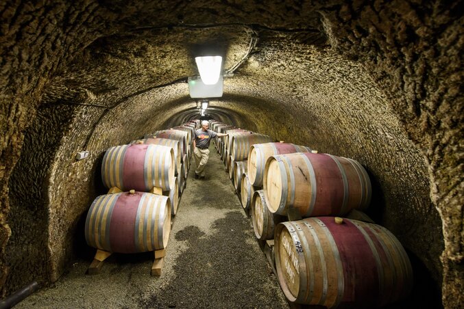 Boroshordók egy egri borászatban (Fotó: MTI)