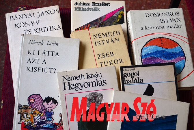 (Fotó: Dávid Csilla) (Fotó: Dávid Csilla)