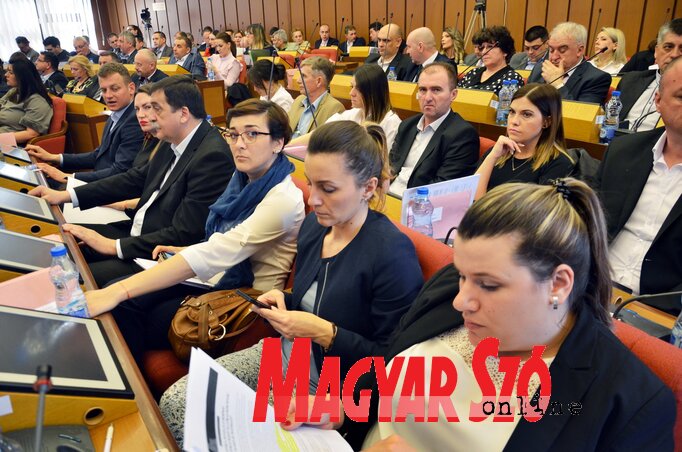 Fotó: Dávid Csilla Fotó: Dávid Csilla