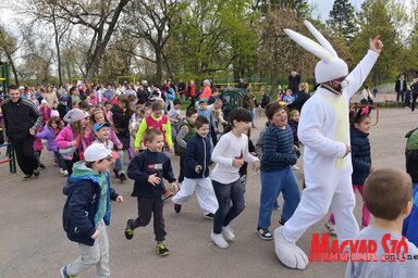 Nyuszifutás a zentai Népkertben
