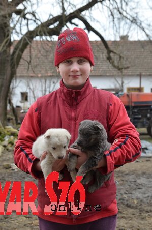 Brenda két kis kedvencével (Lakatos János felvétele) Brenda két kis kedvencével (Lakatos János felvétele)