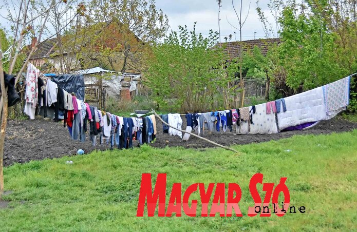 Ahol tíz gyerek van, ott sose üres a szárítókötél Ahol tíz gyerek van, ott sose üres a szárítókötél