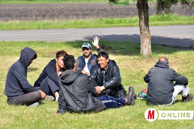 Illusztráció (Gergely József felvétele)