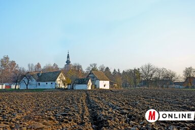 Dávid Csilla illusztrációja