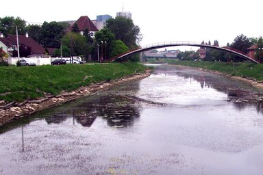 Mi lesz itt +40 Celsius-fokon?  (Fotó: Kecskés István)