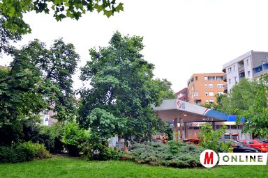 A NIS benzinkutat körülölelő parkocskát lebetonoznák, kibővítve ezzel a töltőállomás befogadókapacitását (Dávid Csilla felvétele)