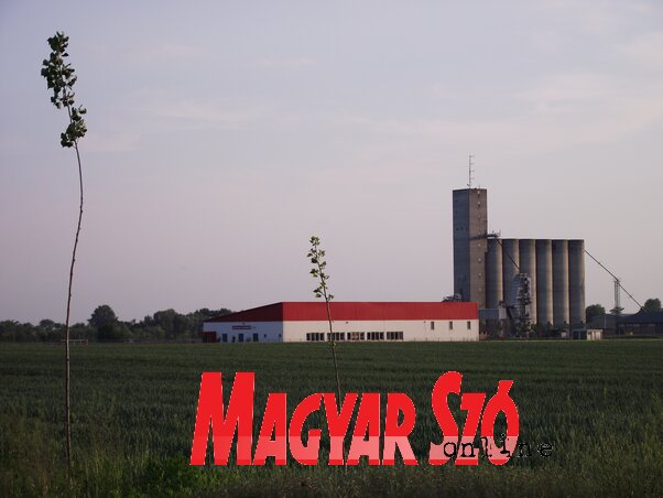 Az ipari park területe, a távolban a szivacsmegmunkáló üzem és a siló (Herceg Elizabetta felvétele) Az ipari park területe, a távolban a szivacsmegmunkáló üzem és a siló (Herceg Elizabetta felvétele)
