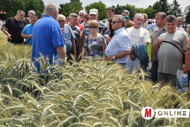 A rendezvény hagyományaival ellentétben a terméskilátásról ezúttal nem esett szó (Fotó: Ótos András)