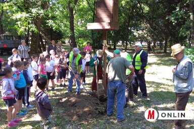 A madáretető felállítása (fotó: Csincsik Zsolt)