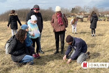 Óvatos léptekkel haladtak a túrázók, és sokszor lehajoltak a gyepen elszórtan virágzó törékeny növényekhez (Herceg Elizabetta felvétele)