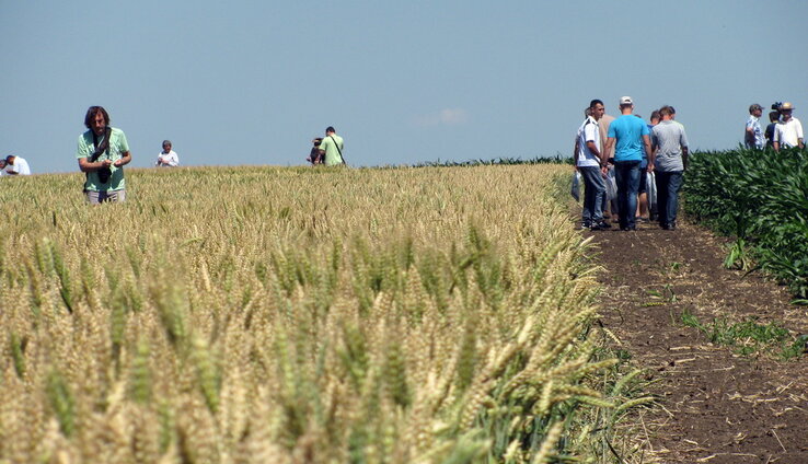 A termelők a mintaparcellákon (Fotó: Kecskés István)