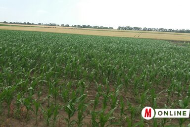 (Fotó: Magyar Lívia)