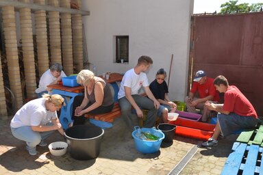Meggyfejtés a női fórum székházában (Fotó: Lakatos János)