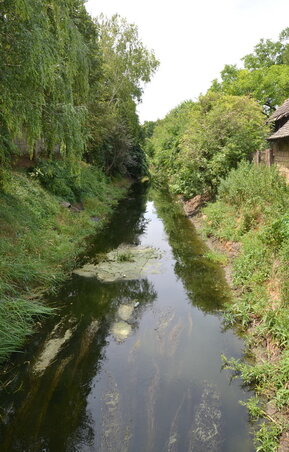 Látszatra idilli, csak egy „szagos” kép árulná el, mi a valós helyzet (Fotó: Lakatos János)