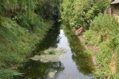 Látszatra idilli, csak egy „szagos” kép árulná el, mi a valós helyzet (Fotó: Lakatos János)