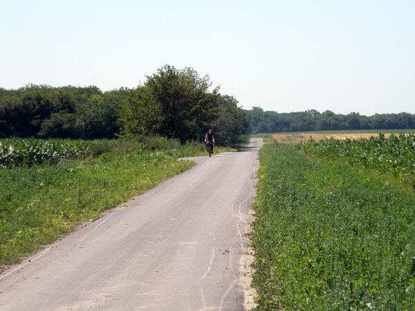 A mezőgazdasági termelők is örülnek az útnak, és a művésztelep is könnyen megközelíthetővé vált (Fotó: Benedek Miklós)