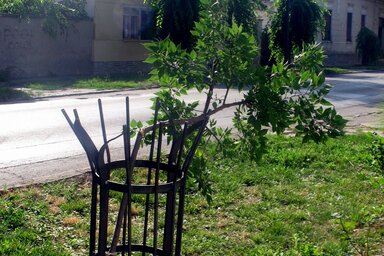 A fácskákat a védőfűző fölött törték el (Fotó: Fekete J. József)