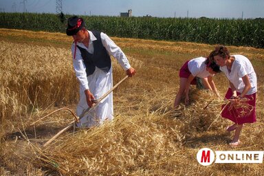 A feketetói fiatalok csapata (Horváth Zsolt felvétele)