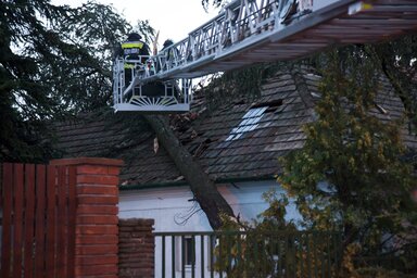 Tetőre dőlt fát távolítanak el a tűzoltók Nagykanizsán (Fotó: MTI)
