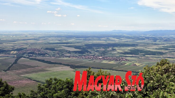 Végeláthatatlan szőlőskertek a Verseci-hegy lábánál (Nagy Magdolna felvétele) Végeláthatatlan szőlőskertek a Verseci-hegy lábánál (Nagy Magdolna felvétele)