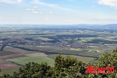 Végeláthatatlan szőlőskertek a Verseci-hegy lábánál (Nagy Magdolna felvétele)