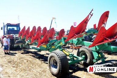 Dávid Csilla felvétele Dávid Csilla felvétele