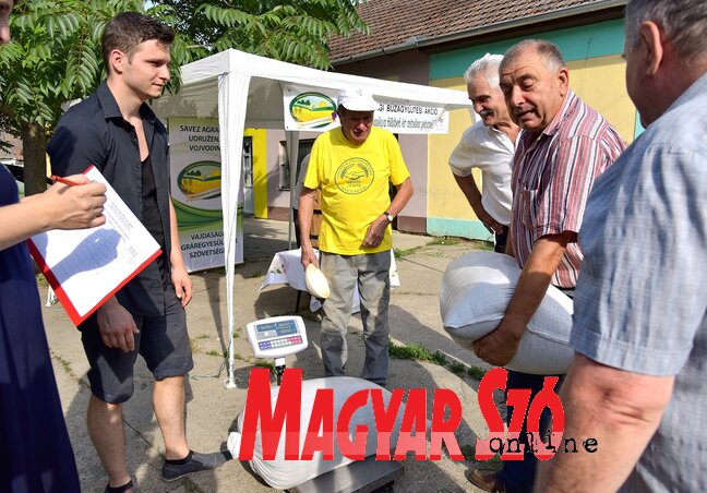 Általában egy zsák búzát ajándékoztak a gazdák