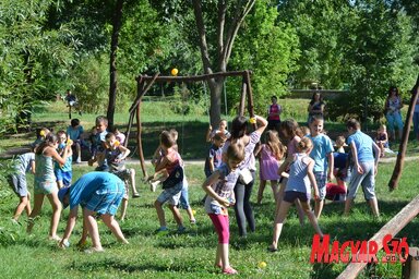 Labdacsata a parkban (Lakatos János felvétele)