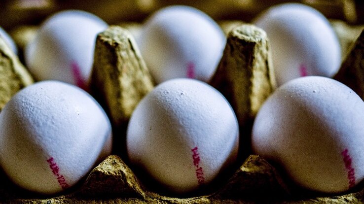 Illusztráció (Fotó: MTI/EPA)