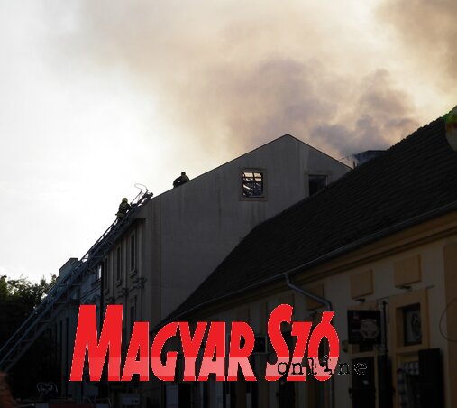 (Fotó: Benedek Miklós) (Fotó: Benedek Miklós)