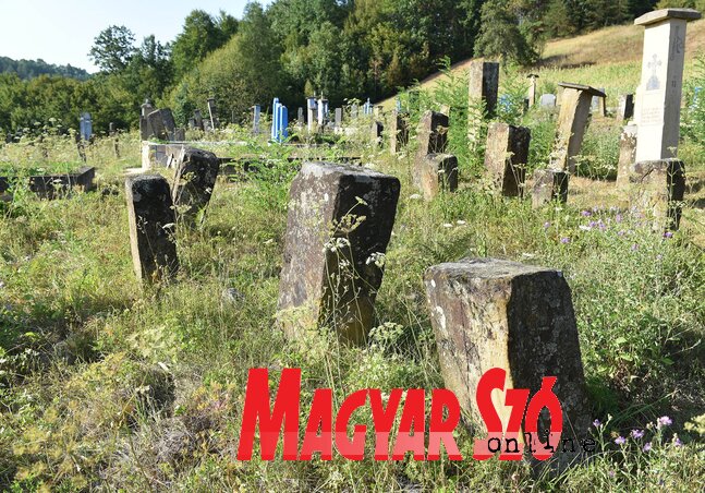 A živicai magyar temetőben 37 magyar sírkő van (Ótos András felvétele)