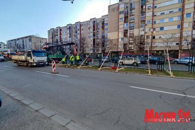 A börtönkerítésre emlékeztető rács meggátolja a gyalogosok szabad mozgását, az autósoknak ezentúl csak a kijelölt gyalogátkelőhelyeken lesz alkalmuk elgázolni őket, amikor előbukkannak a zöl
