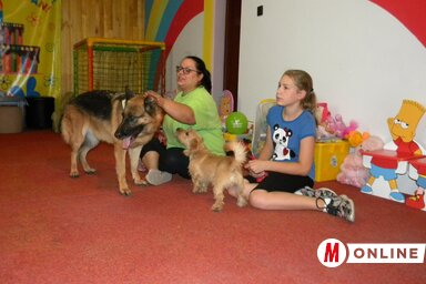 (Fotó: Benedek Miklós)