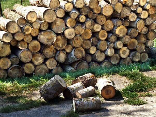 A köztársasági energiaügynökség számításai alapján tűzifával a legolcsóbb fűteni (Fotó: Dávid Csilla)