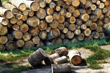 A köztársasági energiaügynökség számításai alapján tűzifával a legolcsóbb fűteni (Fotó: Dávid Csilla)