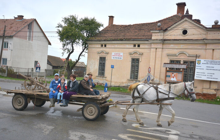 Pityókaszedéshez sok kéz kell  (Fotó: Gergely József)