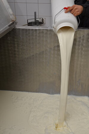 A tejben megengedett aflatoxin-mennyiségről szóló rendeletet jövőre módosítja a kormány, vagyis a jelenlegi literenkénti 0,5 mikrogrammról 0,05 mikrogrammra csökkenti a megengedett határértéket (Fotó: Molnár Edvárd)