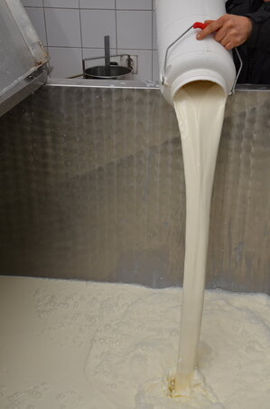 A tejben megengedett aflatoxin-mennyiségről szóló rendeletet jövőre módosítja a kormány, vagyis a jelenlegi literenkénti 0,5 mikrogrammról 0,05 mikrogrammra csökkenti a megengedett határértéket (Fotó: Molnár Edvárd) A tejben megengedett aflatoxin-mennyiségről szóló rendeletet jövőre módosítja a kormány, vagyis a jelenlegi literenkénti 0,5 mikrogrammról 0,05 mikrogrammra csökkenti a megengedett határértéket (Fotó: Molnár Edvárd)