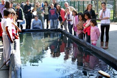 Fotó: Dávid Csilla